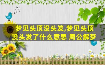 梦见头顶没头发,梦见头顶没头发了什么意思 周公解梦